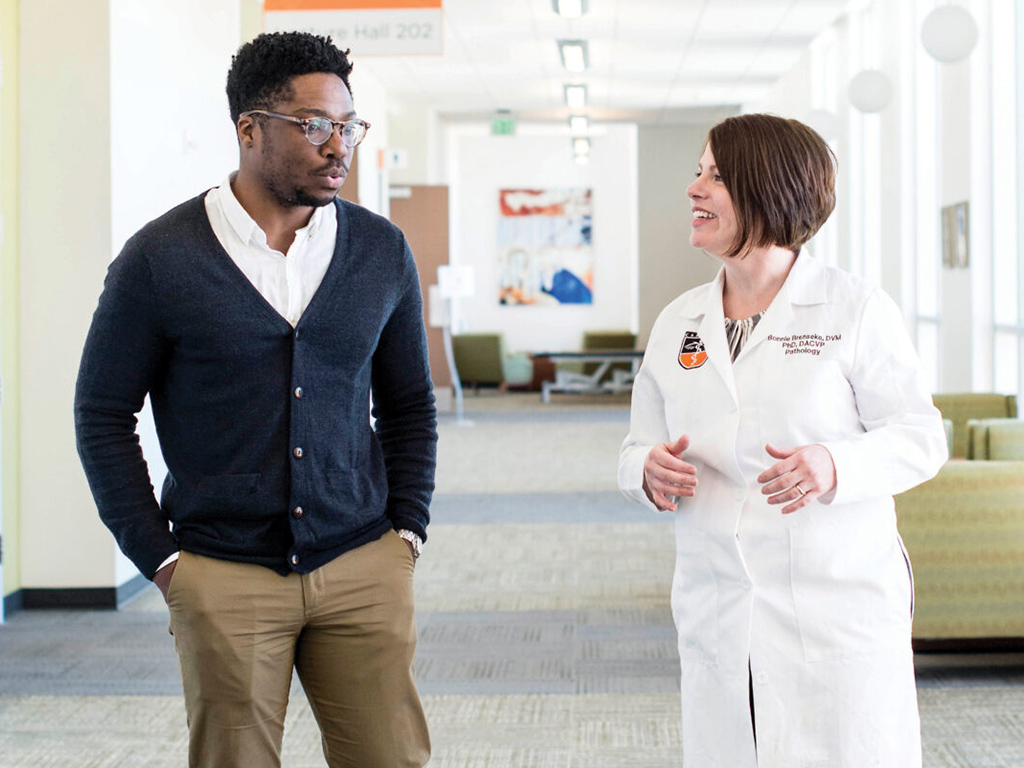 Image of students walking to class