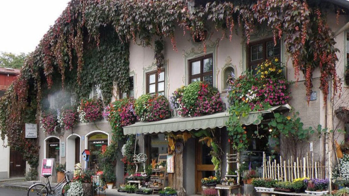 Front of German building featuring fresco painting and flowers